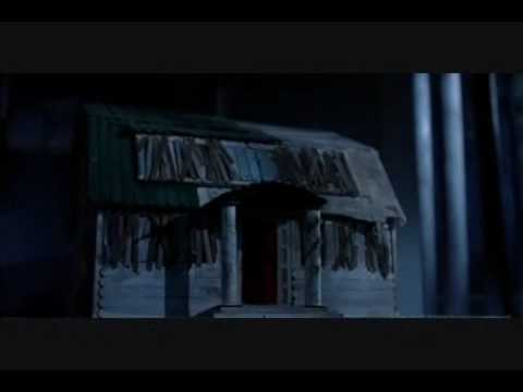 L’incredibile Storia di Winter il Delfino – dietro le quinte