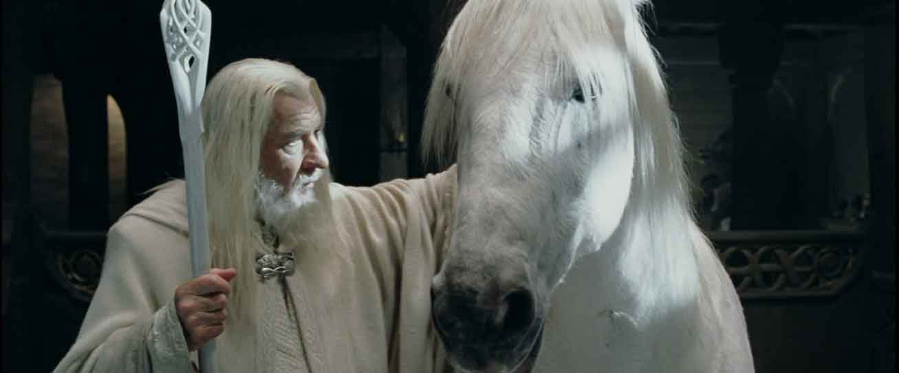 Il Signore degli Anelli: è morto Blanco, il cavallo usato per il ruolo di Ombromanto