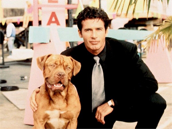Giornata del cane 2014, dodici cani che hanno partecipato alle serie tv