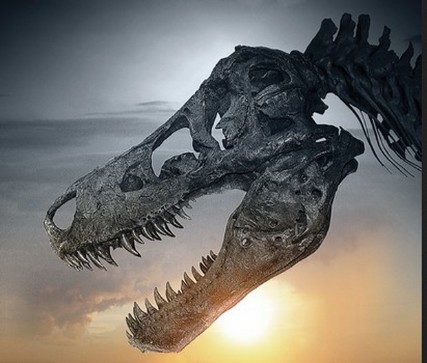 Dinosaur 13: trailer e poster del documentario di Todd Douglas Miller