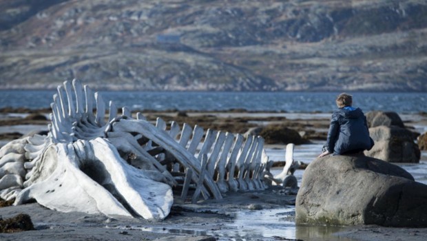 Leviathan: Recensione in Anteprima del film di Andrei Zvyagintsev in Concorso a Cannes 2014