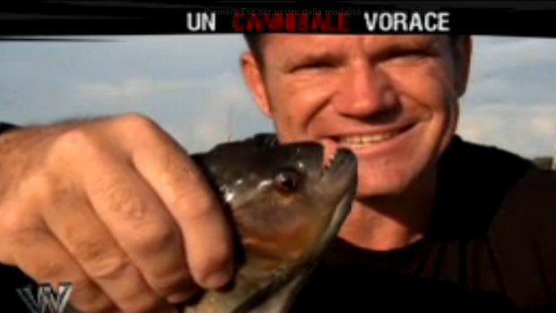 Wild, 29 maggio 2014: Tutti i servizi della sesta puntata