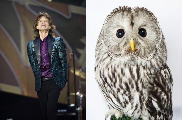 Mondiali 2014, Italia eliminata: Mick Jagger e le sue ‘fantaprevisioni’