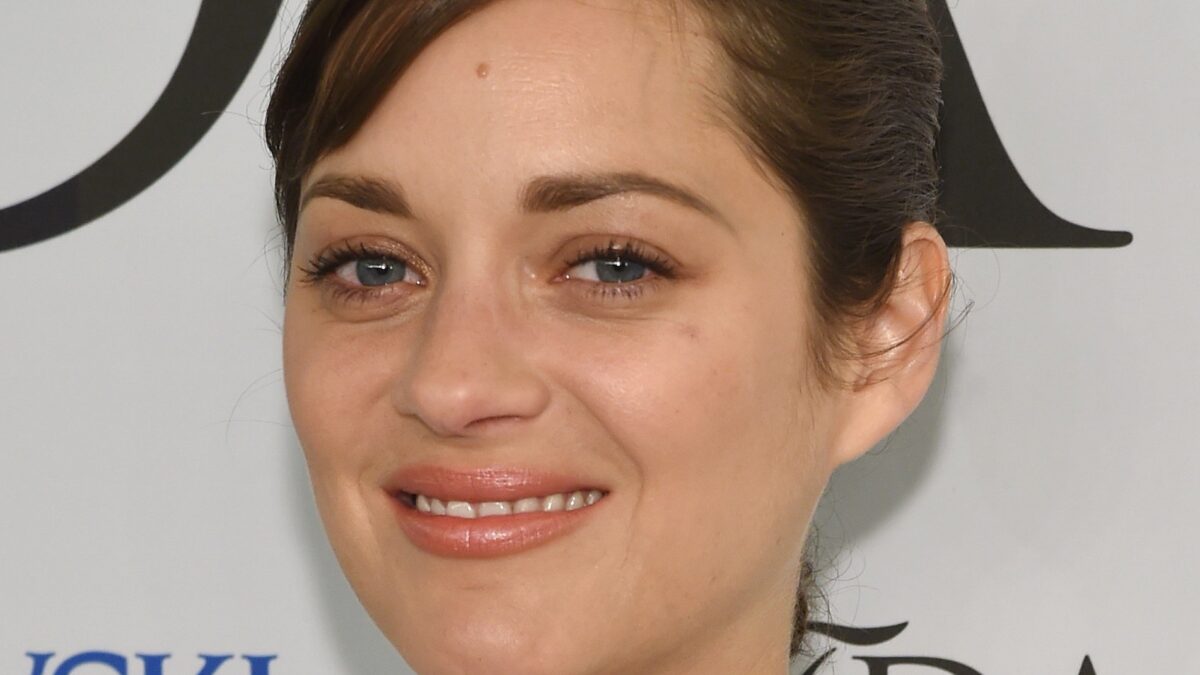 Film 2015-2016: Marion Cotillard per Mal di pietre – James e Dave Franco per The Disaster Artist