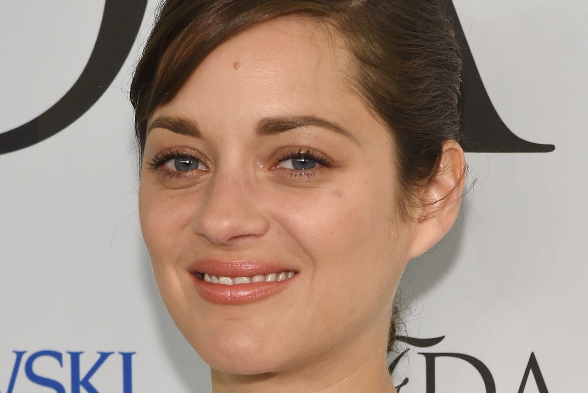 Film 2015-2016: Marion Cotillard per Mal di pietre – James e Dave Franco per The Disaster Artist