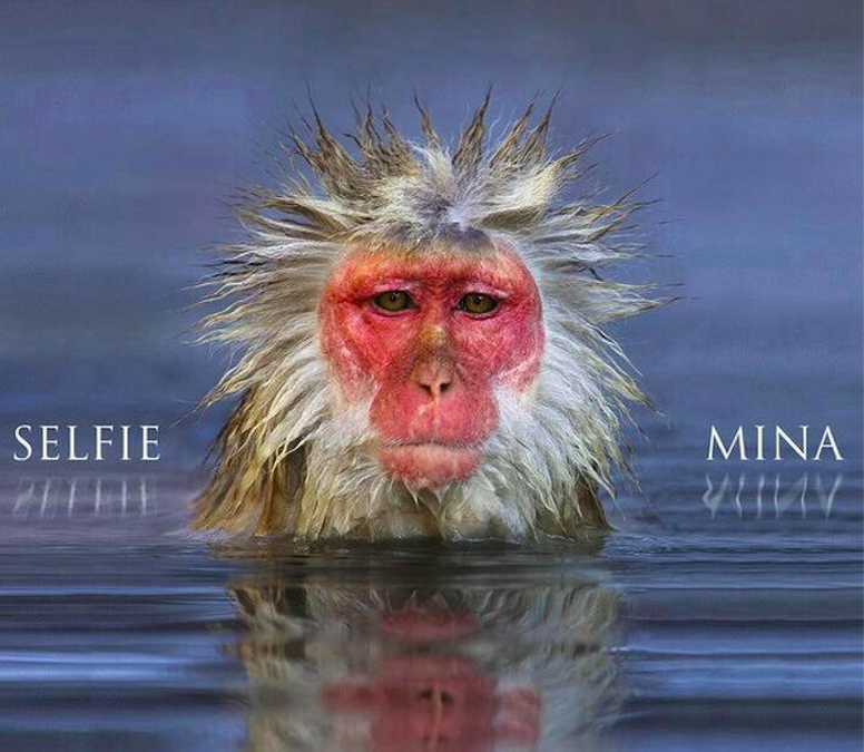 Mina, Selfie è il nuovo disco in uscita il 10 giugno 2014 (Tracklist e Cover)