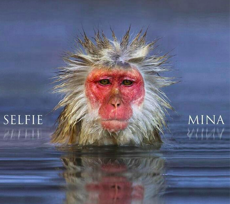 Mina, Selfie è il nuovo disco in uscita il 10 giugno 2014 (Tracklist e Cover)