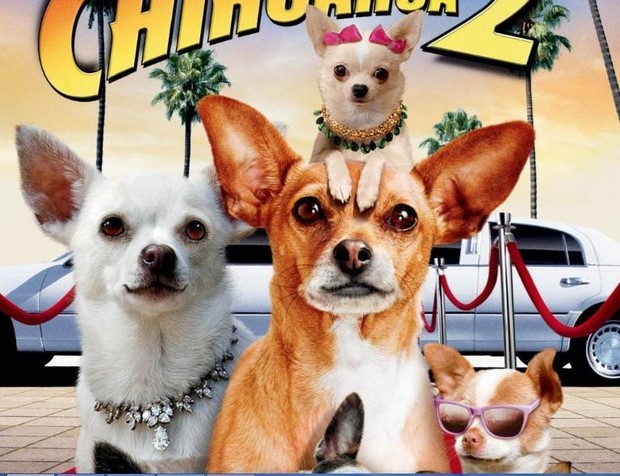 Stasera in tv su Italia 1: Beverly Hills Chihuahua 2