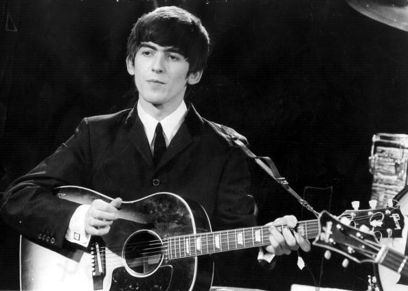 Beatles, l’albero alla memoria di George Harrison infestato e ucciso… dagli scarafaggi delle piante