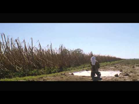 TRAILER L’ESTATE STA FINENDO di Stefano Tummolini