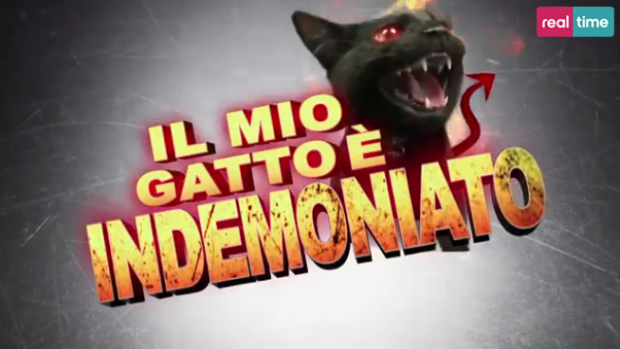 Il mio gatto è indemoniato, Real Time sfida anche il politicamente animale. E’ già cult sul web