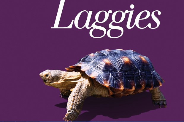 Laggies: trailer e poster della commedia con Chloe Moretz e Keira Knightley