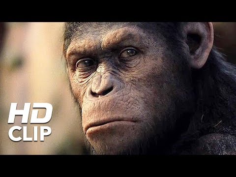 Apes Revolution – Il pianeta delle scimmie – Caesar’s Story – Clip HD