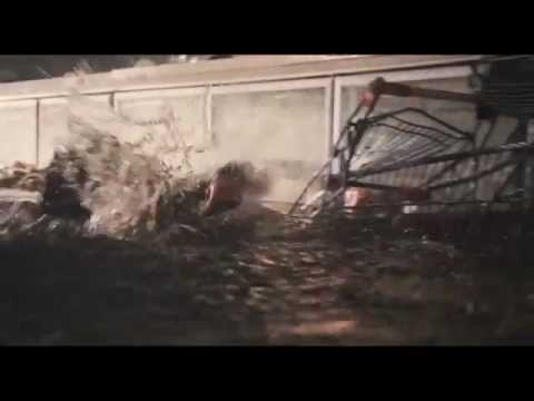 Shark 3D – Trailer ufficiale italiano – Scegliliflm.it