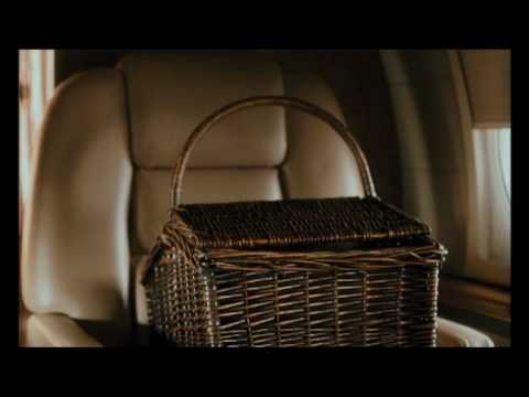 The Children Trailer 2008
