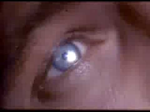 Wanderlust Clips