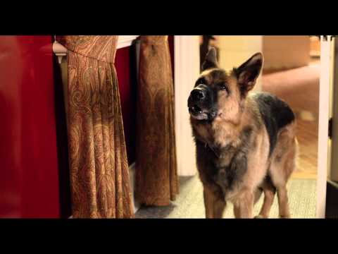 Sex Tape – UK Trailer – At Cinemas September 3