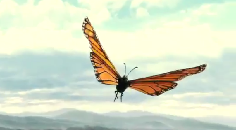 Butterflies 3D: su Sky la migrazione delle farfalle monarca