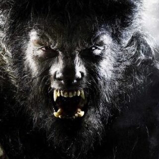 Licantropia-Evolution-il-mito-del-lupo-mannaro-al-cinema