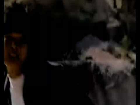 BRUCE LEE HIS LAST DAYS trailer