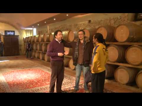 MERCURIALES – VIRGIL VERNIER (EXTRAIT 3)