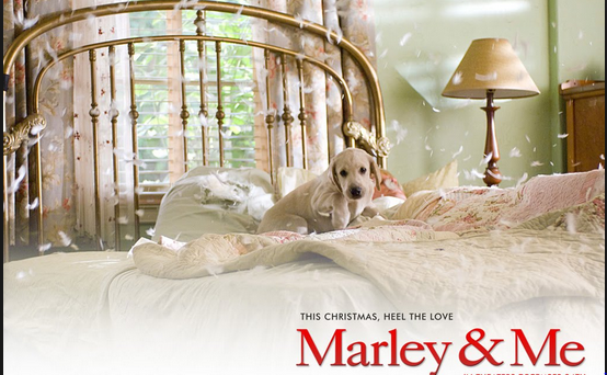 Io e Marley, colonna sonora e canzoni del film con Owen Wilson e Jennifer Aniston