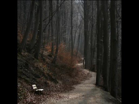 Andrea Guerra – Tu la conosci Claudia (Titoli)