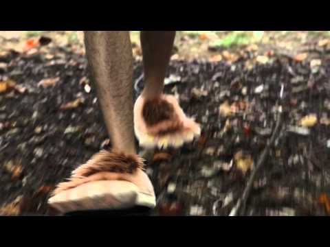 Biografilm 2014 – Piccoli CosÃ¬ – Official Trailer