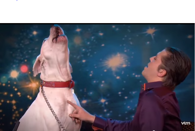 Belgium’s Got Talent, tutti pazzi per il cane che canta “I will always love you” [video]