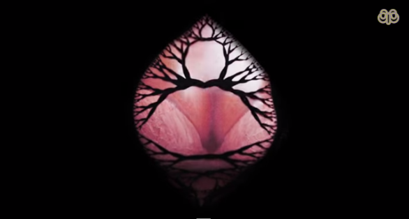 Bjork, Lionsong: testo, traduzione e video ufficiale