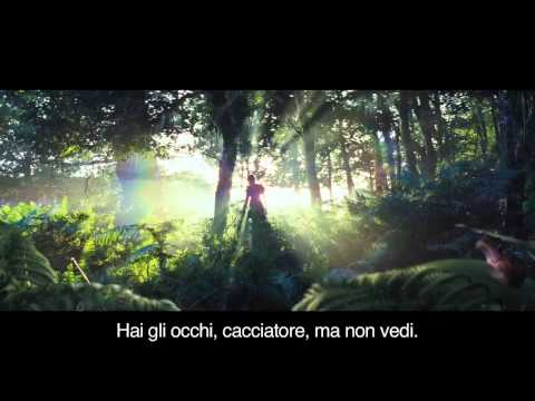 Antony & the Johnsons – Knockin’ On Heavens Door