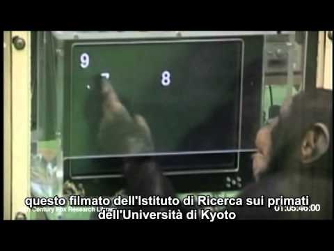 Il Superpoliziotto del supermercato 2 – Trailer sottotitolato ITALIANO [HD]