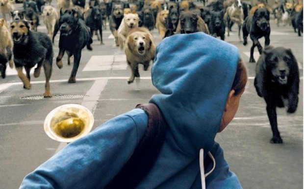 White God – Sinfonia per Hagen: due nuove clip in italiano del film premiato a Cannes