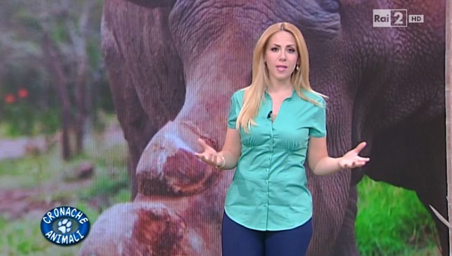 Cronache animali (Rai2) da giugno diventa quotidiano con Lisa Marzoli. In autunno arriva Massimiliano Ossini? (Anteprima Blogo)
