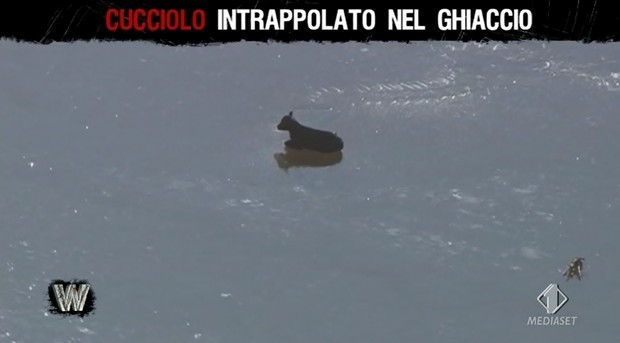 Wild Sun | Puntata 17 giugno 2015 | Gallery