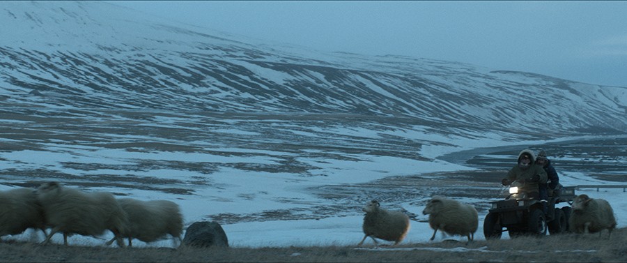 Rams (Grimur Hakonarson)