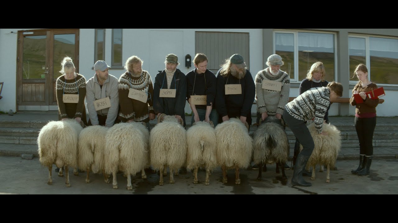 Rams / Hrútar by Grímur Hákonarson – Trailer – Un Cannes Certain Regard 2015