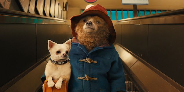 Film 2016-2017:  Paddington 2 e Pitch Perfect 3, regie confermate per Paul King ed Elizabeth Banks