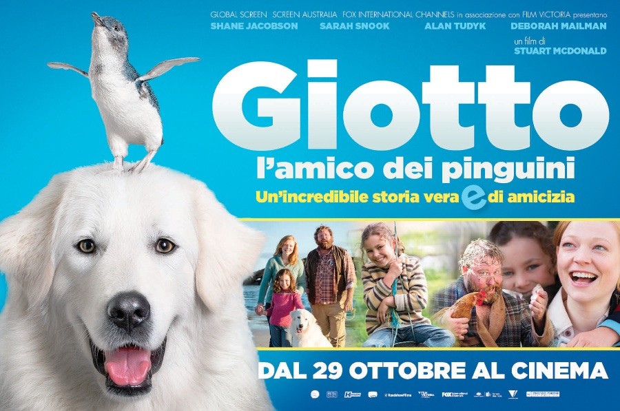  Giotto, l’amico dei pinguini