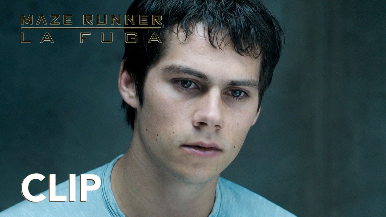 Da che parte stai? | Maze Runner: La Fuga | Clip Ufficiale [HD] | 20th Century Fox