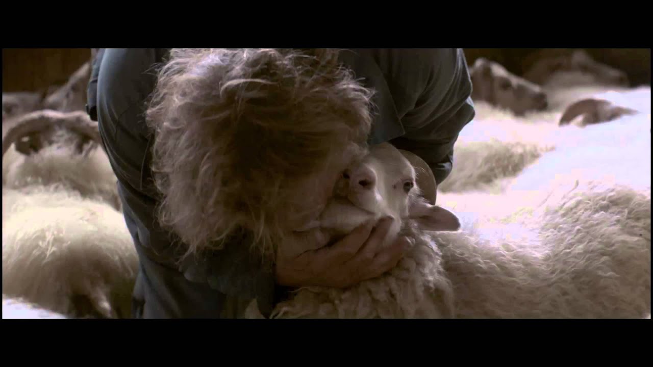 RAMS – Trailer italiano