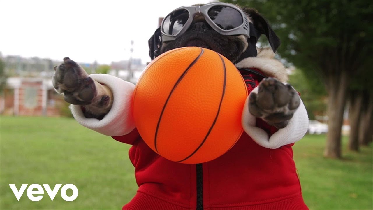 Fall Out Boy – Irresistible (Starring Doug The Pug) ft. Demi Lovato