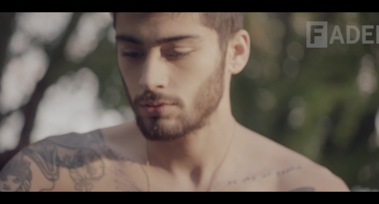 Zayn Malik, The Fader Magazine