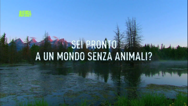 Animal Planet si spegne contro l’estinzione delle specie animali