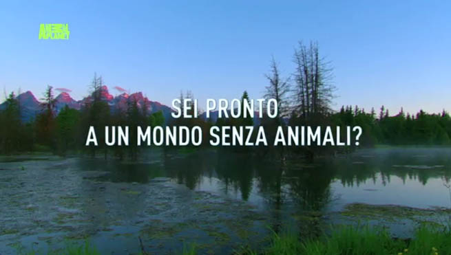 Animal Planet si spegne un intero giorno per protesta