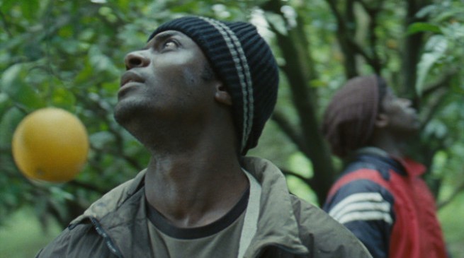 Mediterranea: recensione in anteprima del film di Jonas Carpignano