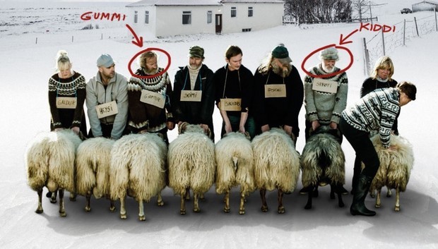 Rams: nuove clip in italiano del film islandese premiato a Cannes 2015