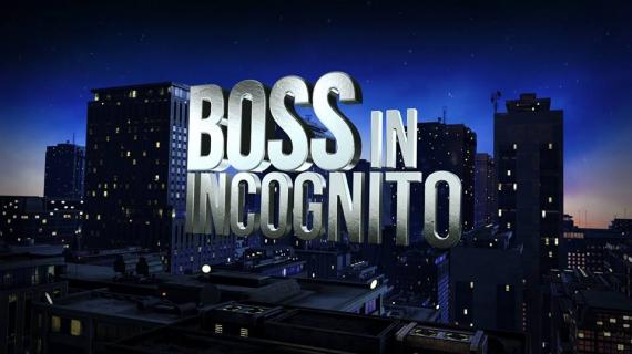 Stasera in tv, 21 dicembre 2015: Il Paradiso delle Signore, Boss in Incognito