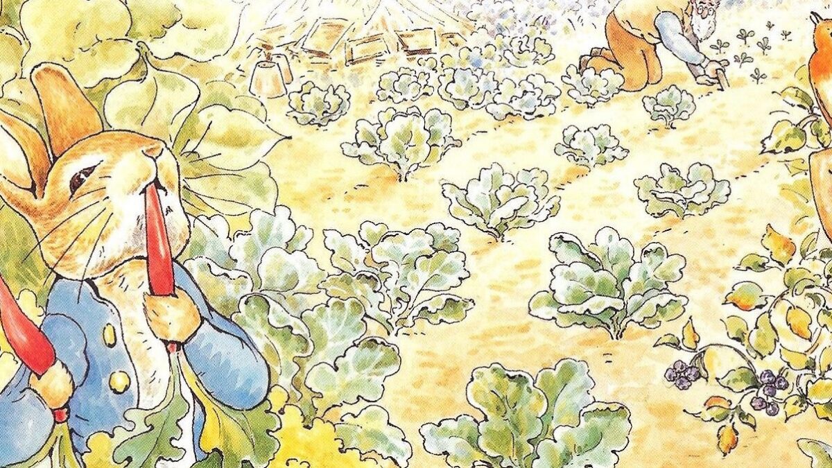 Peter Rabbit e il cartoon di Spider-Man al cinema nel 2018