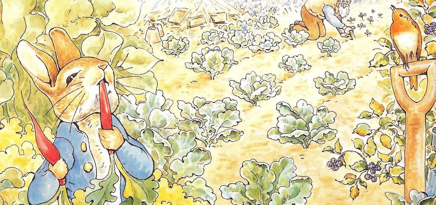 Peter Rabbit e il cartoon di Spider-Man al cinema nel 2018